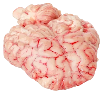 Cervelle d'agneau