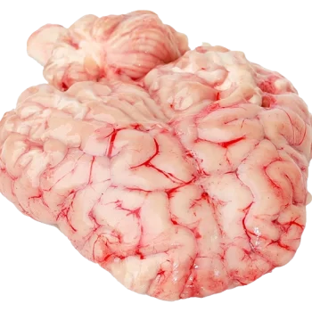 Cervelle d'agneau