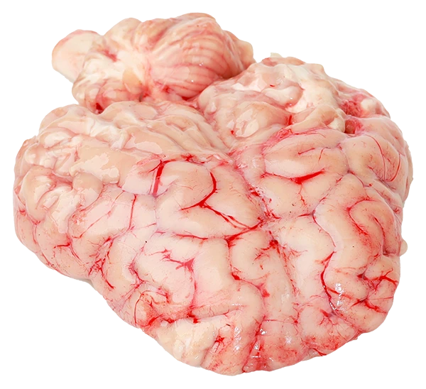 Cervelle d'agneau