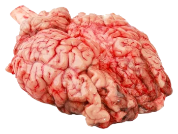 Cervelle de bœuf