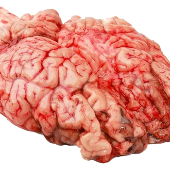 Cervelle de bœuf