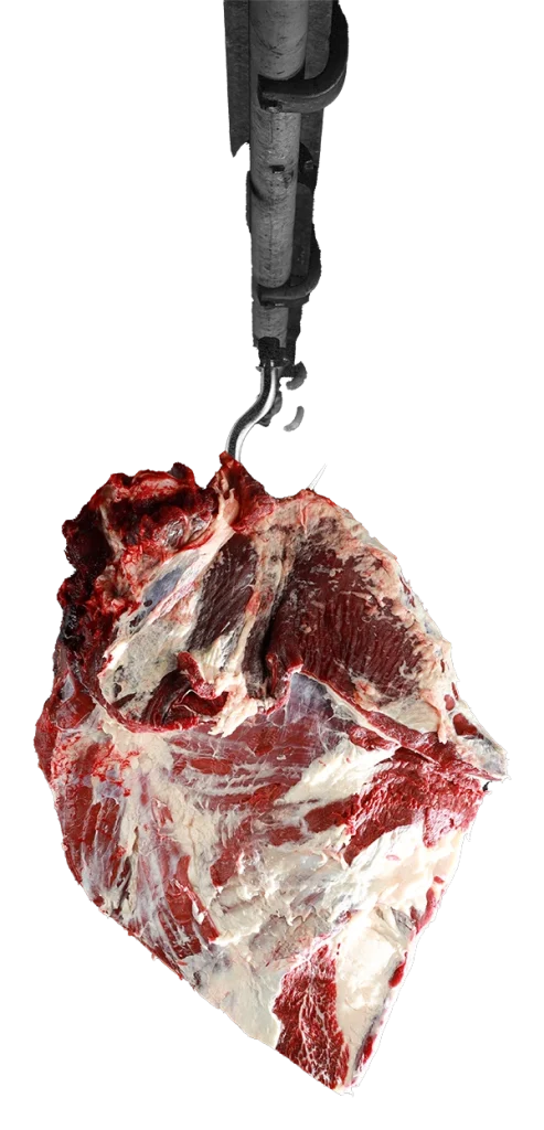 Collier de bœuf avec os