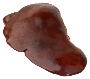 Foie de bœuf