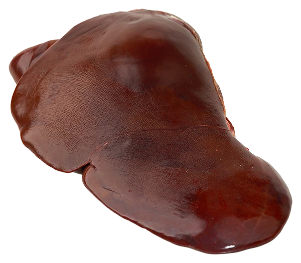 Foie de bœuf