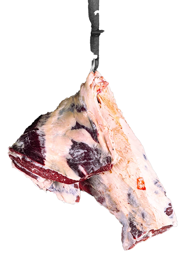 Poitrine de bœuf avec os