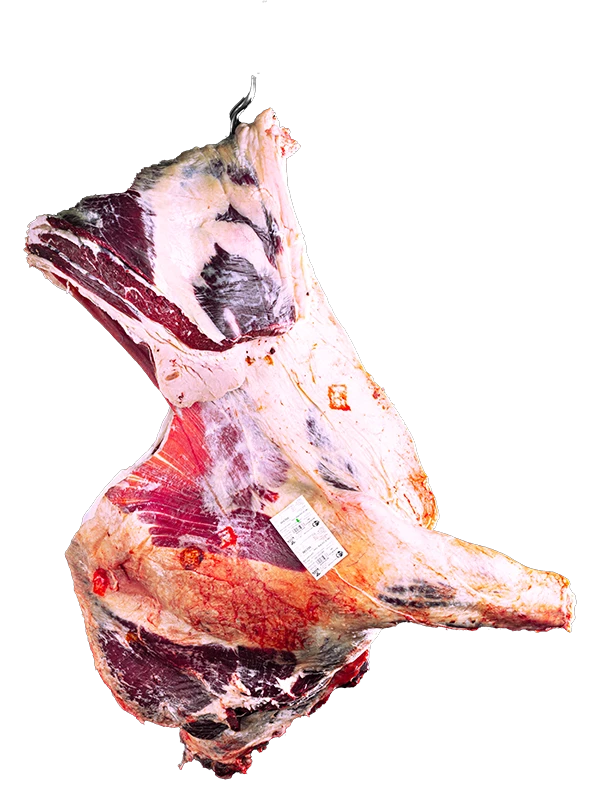 Quart avant de bœuf