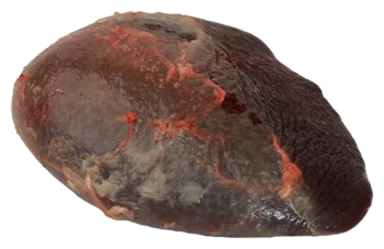 Rate d'agneau