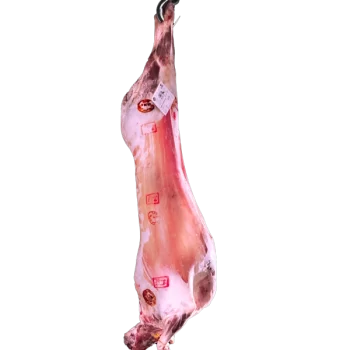 Demi carcasse d'agneau
