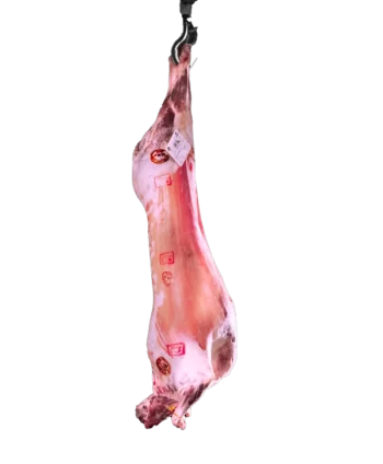 Demi carcasse d'agneau