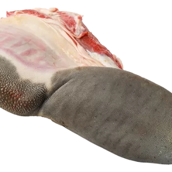Langue de Bœuf