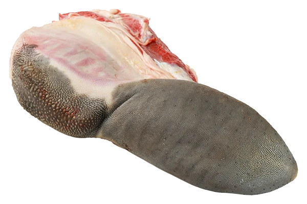 Langue de Bœuf