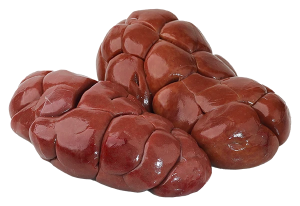 Rognons rouges de bœuf